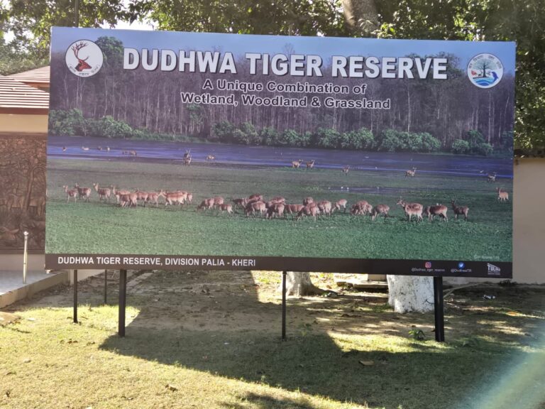 Surya Sainik School Dudhwa tiger reserve