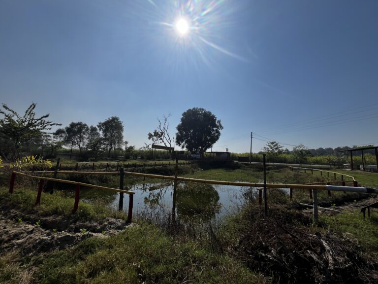 Surya Sainik School Dudhwa tiger reserve